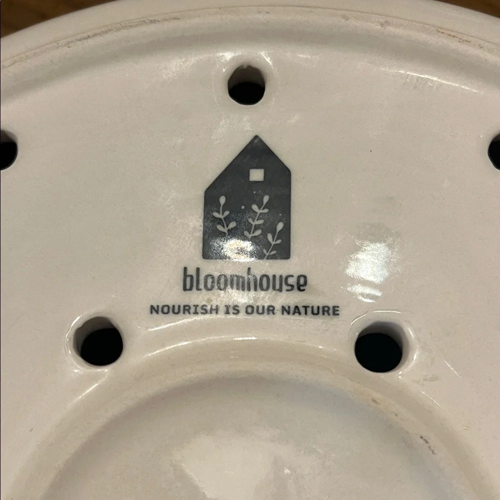 Bloomhouse 6 Qt‎ Dutch Oven Ceramic Steamer